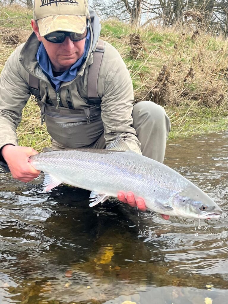 salmon catch